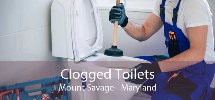 Clogged Toilets Mount Savage - Maryland
