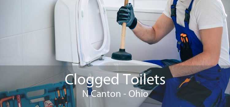 Clogged Toilets N Canton - Ohio