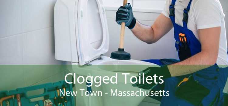 Clogged Toilets New Town - Massachusetts