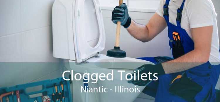 Clogged Toilets Niantic - Illinois