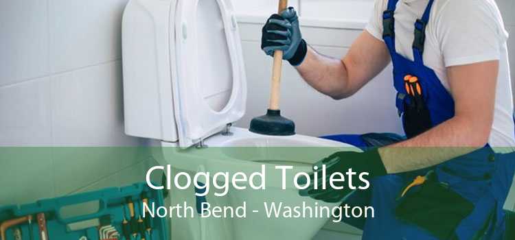 Clogged Toilets North Bend - Washington
