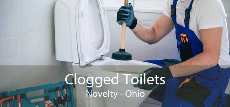 Clogged Toilets Novelty - Ohio