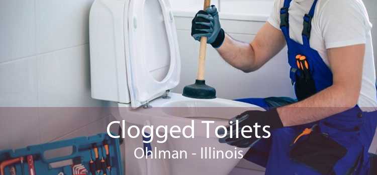 Clogged Toilets Ohlman - Illinois