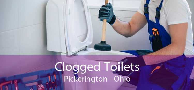 Clogged Toilets Pickerington - Ohio