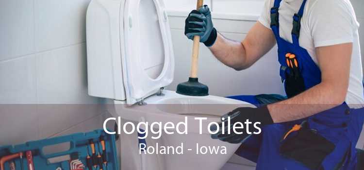 Clogged Toilets Roland - Iowa