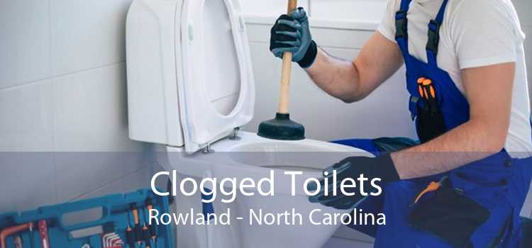 Clogged Toilets Rowland - North Carolina