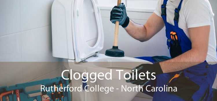 Clogged Toilets Rutherford College - North Carolina
