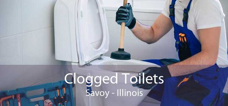 Clogged Toilets Savoy - Illinois