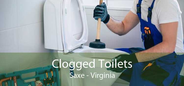 Clogged Toilets Saxe - Virginia