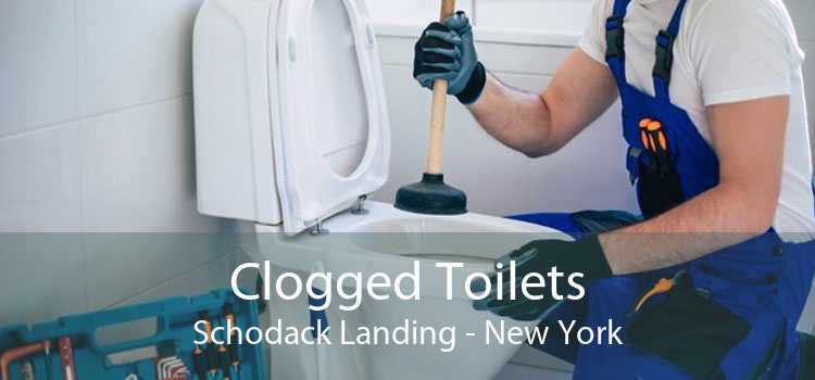 Clogged Toilets Schodack Landing - New York