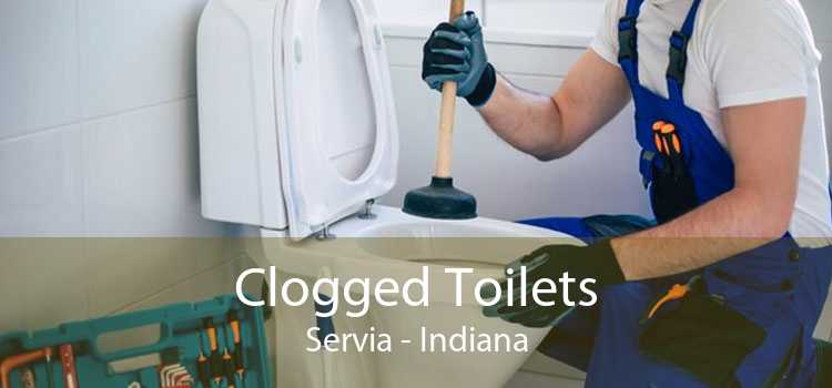 Clogged Toilets Servia - Indiana