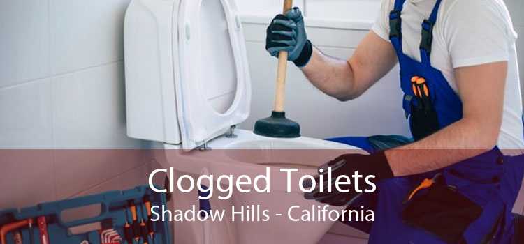 Clogged Toilets Shadow Hills - California