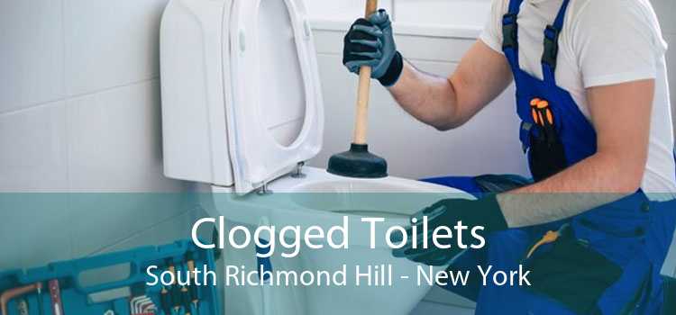 Clogged Toilets South Richmond Hill - New York