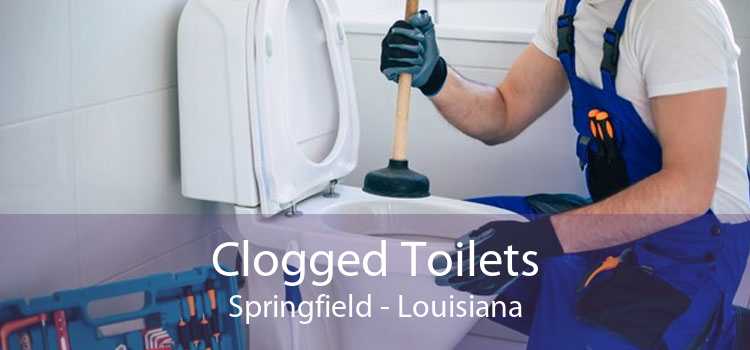Clogged Toilets Springfield - Louisiana