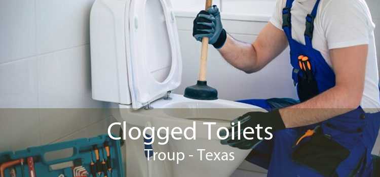 Clogged Toilets Troup - Texas