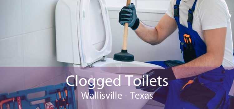 Clogged Toilets Wallisville - Texas