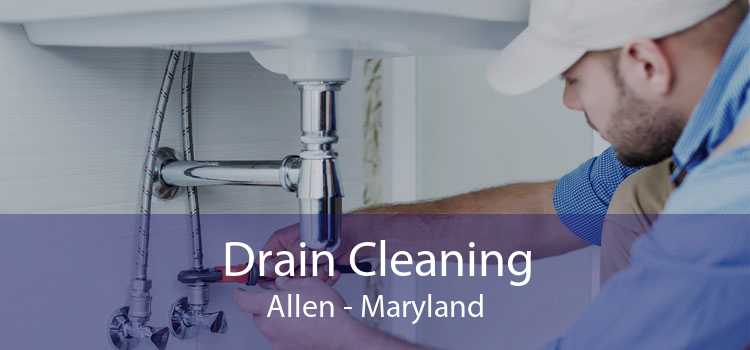 Drain Cleaning Allen - Maryland