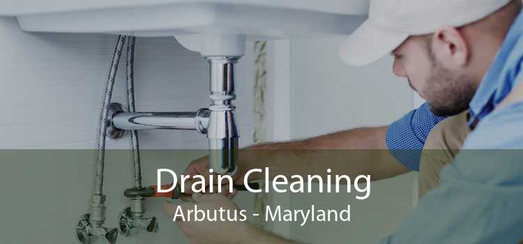 Drain Cleaning Arbutus - Maryland