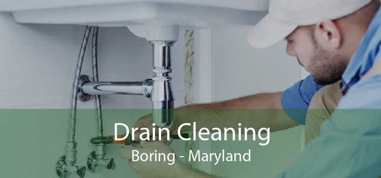 Drain Cleaning Boring - Maryland