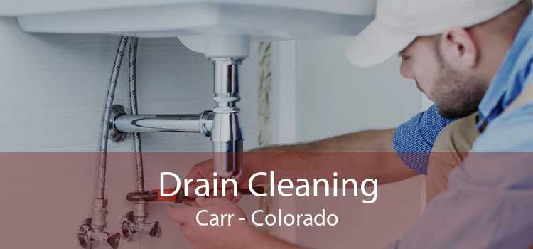 Drain Cleaning Carr - Colorado