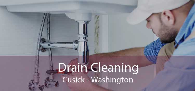 Drain Cleaning Cusick - Washington
