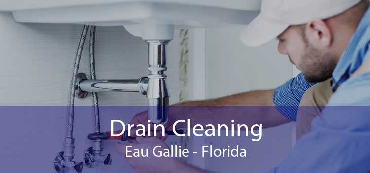 Drain Cleaning Eau Gallie - Florida