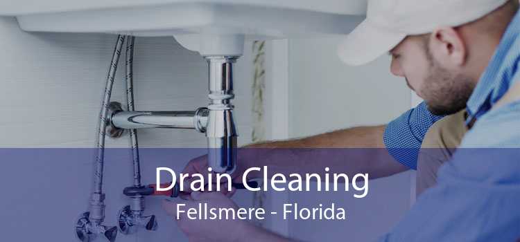Drain Cleaning Fellsmere - Florida
