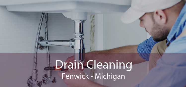 Drain Cleaning Fenwick - Michigan