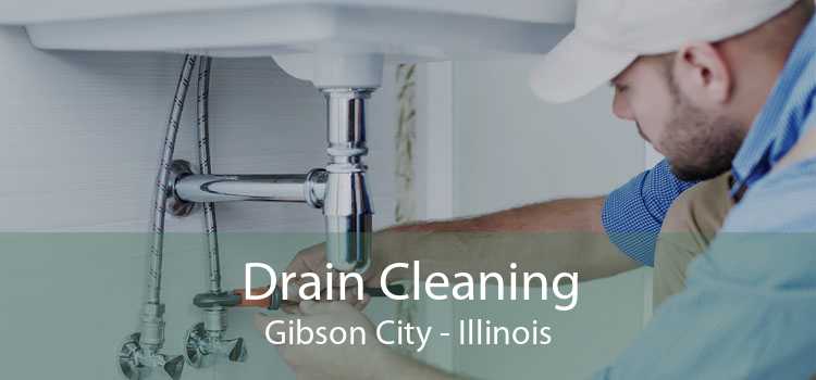 Drain Cleaning Gibson City - Illinois