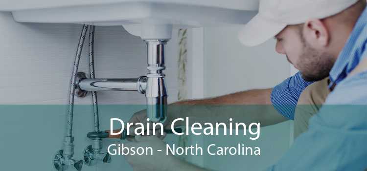 Drain Cleaning Gibson - North Carolina