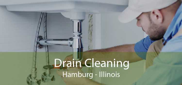 Drain Cleaning Hamburg - Illinois