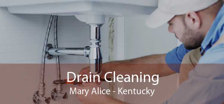 Drain Cleaning Mary Alice - Kentucky