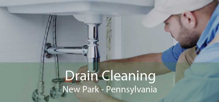 Drain Cleaning New Park - Pennsylvania