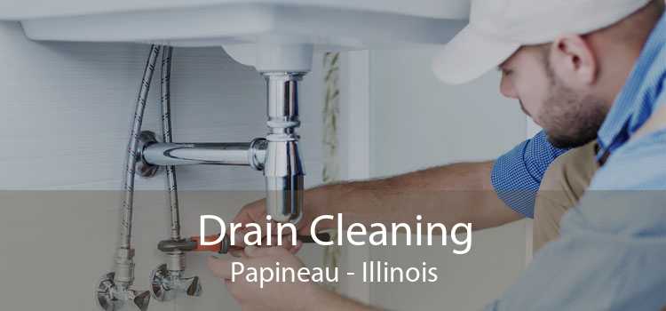 Drain Cleaning Papineau - Illinois