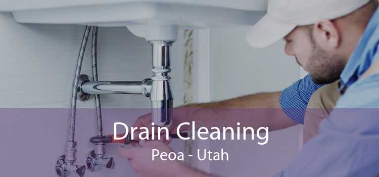 Drain Cleaning Peoa - Utah