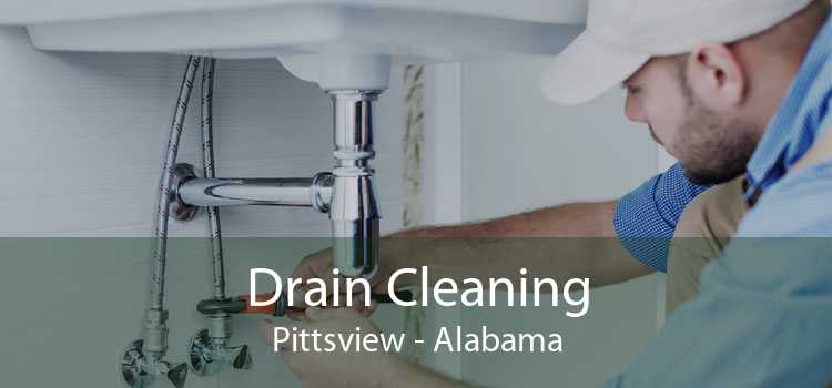 Drain Cleaning Pittsview - Alabama