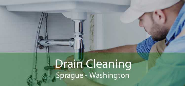 Drain Cleaning Sprague - Washington