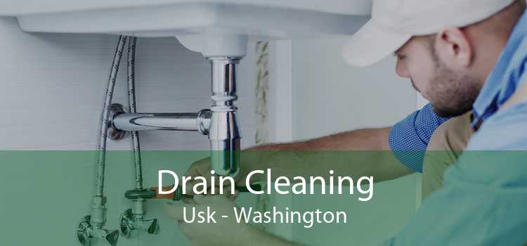 Drain Cleaning Usk - Washington