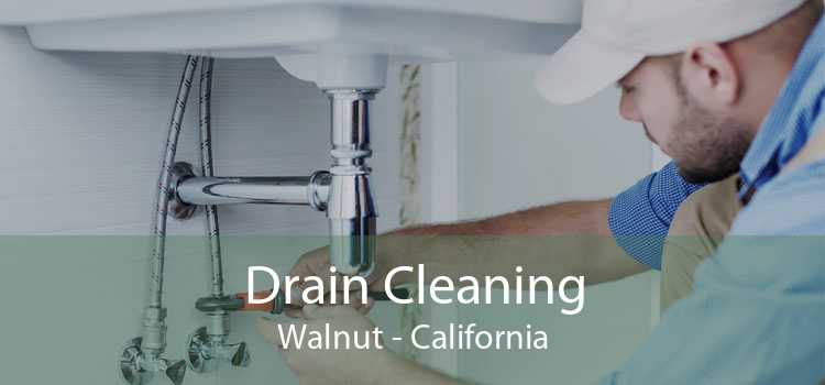 Drain Cleaning Walnut - California