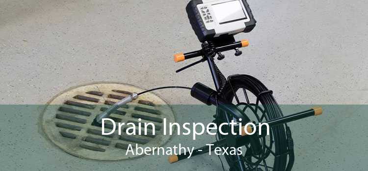 Drain Inspection Abernathy - Texas