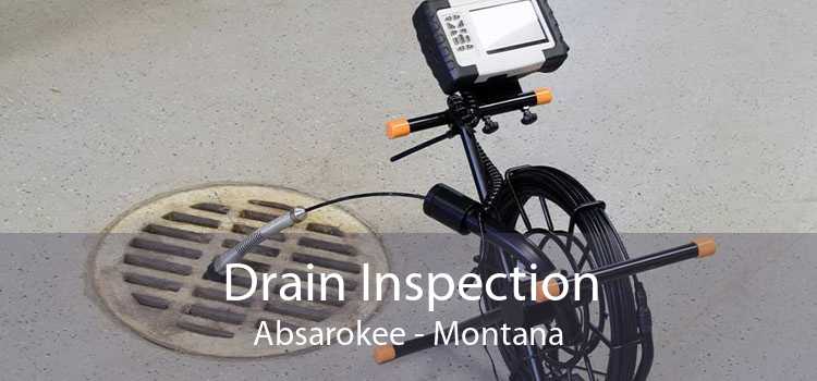 Drain Inspection Absarokee - Montana