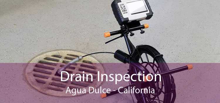 Drain Inspection Agua Dulce - California