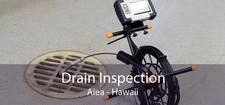 Drain Inspection Aiea - Hawaii