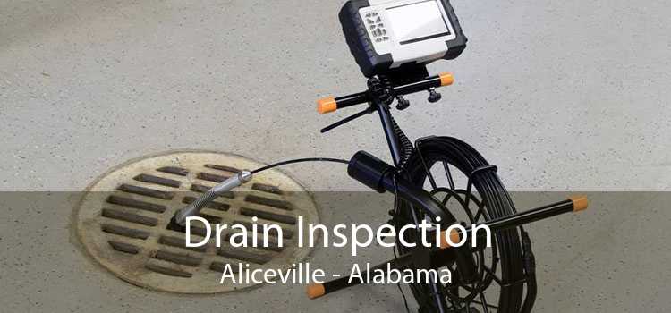 Drain Inspection Aliceville - Alabama