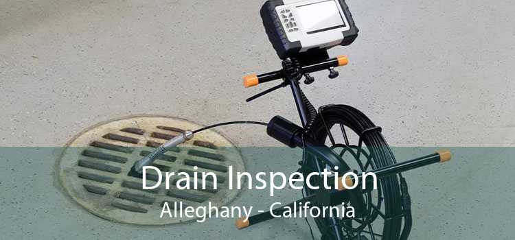Drain Inspection Alleghany - California
