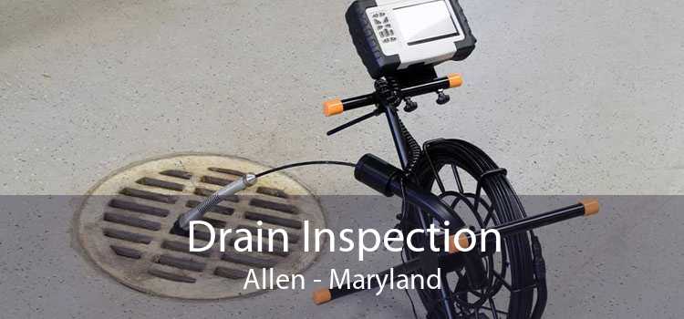 Drain Inspection Allen - Maryland