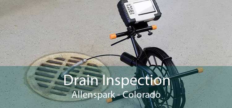Drain Inspection Allenspark - Colorado