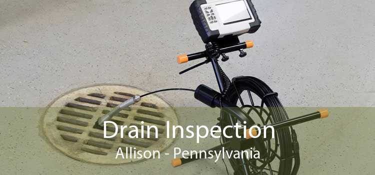 Drain Inspection Allison - Pennsylvania