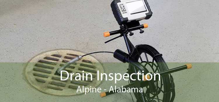 Drain Inspection Alpine - Alabama