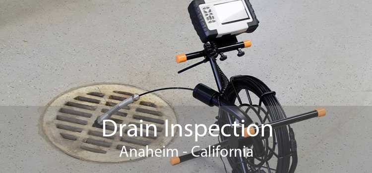 Drain Inspection Anaheim - California